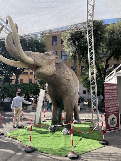The Mammoth celebrating the INQUA-ROMA